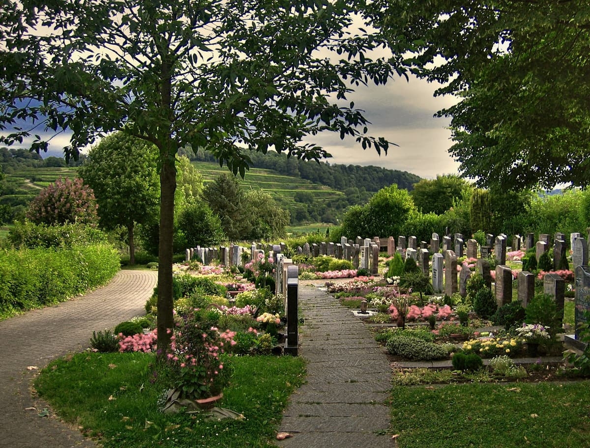 Cemetery with Flowers