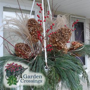 Winter Hanging Basket