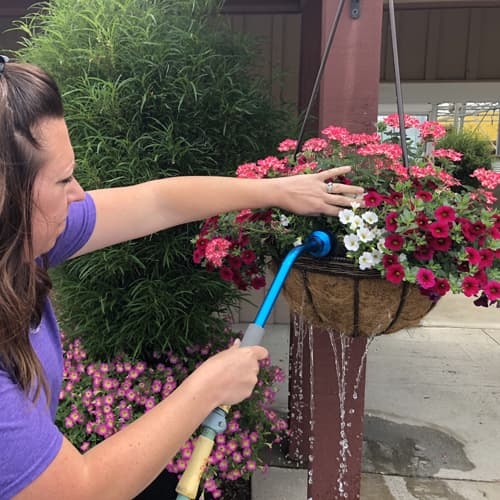 Watering Hanging Baskets