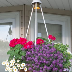 Lighted hanging Baskets