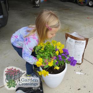 Toddlers in the garden