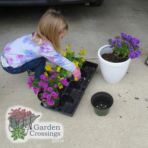 Toddlers in the garden