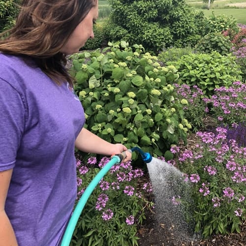 Watering in the landscape