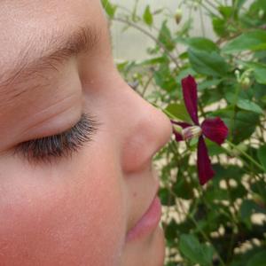 Sweet Summer Love Clematis