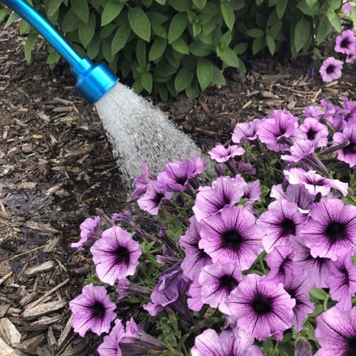 Watering Plants