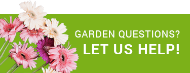 Questions? Give us a Call Questions? Give us a Call