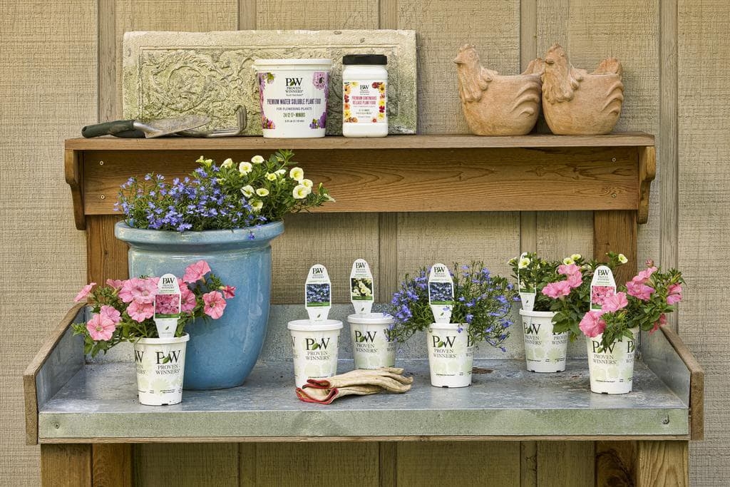 how to plant a container