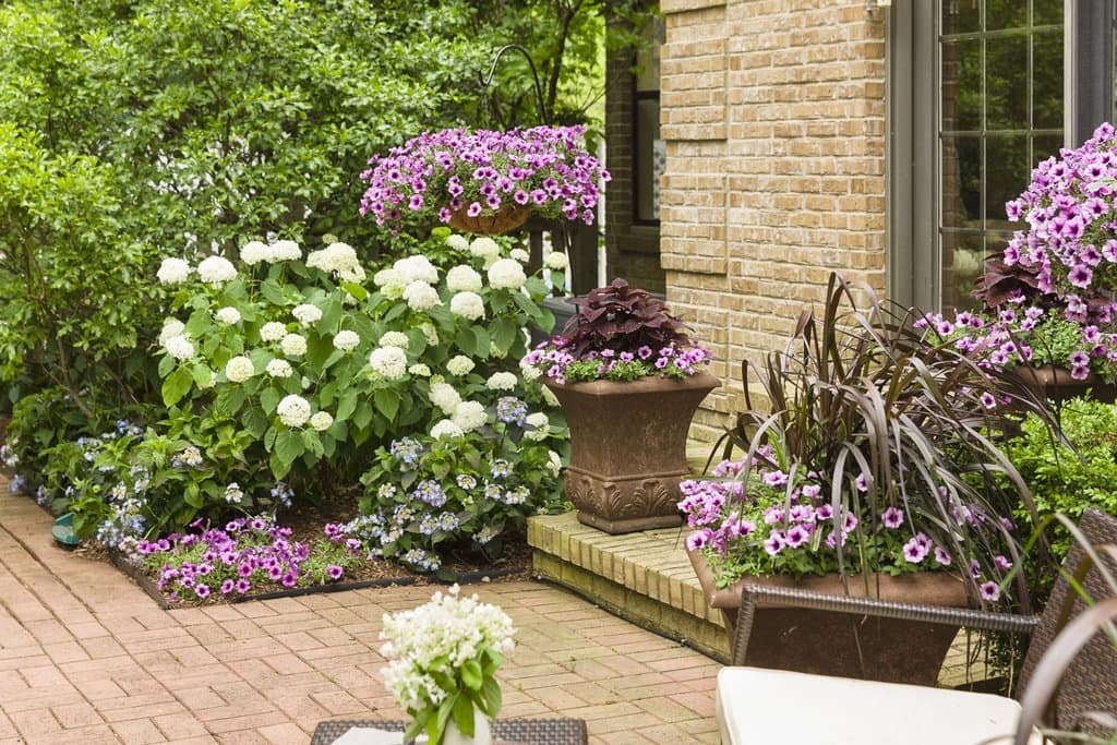 container and landscape porch