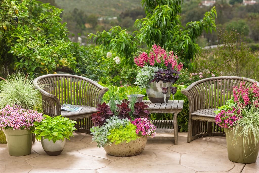 Patio container and landscape garden