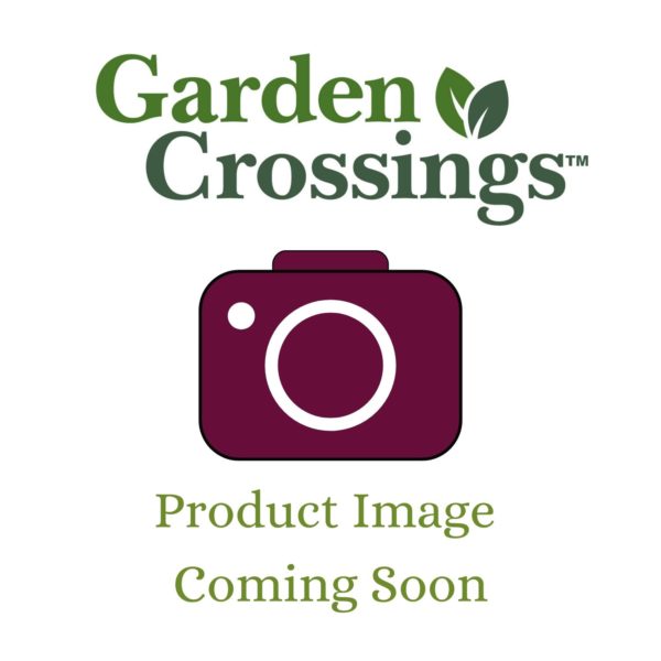 Garden Crossings Image Placeholder