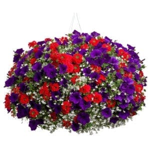 ANNUAL COMBINATION FIREWORKS