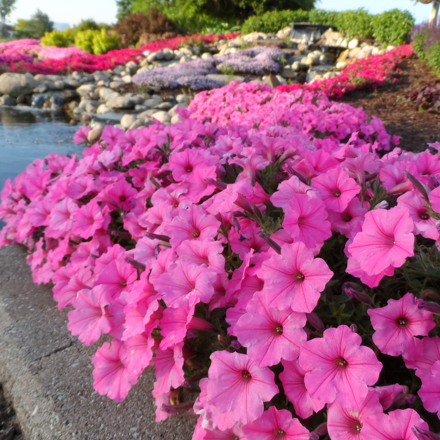 Specchio petunia grande bianco panna