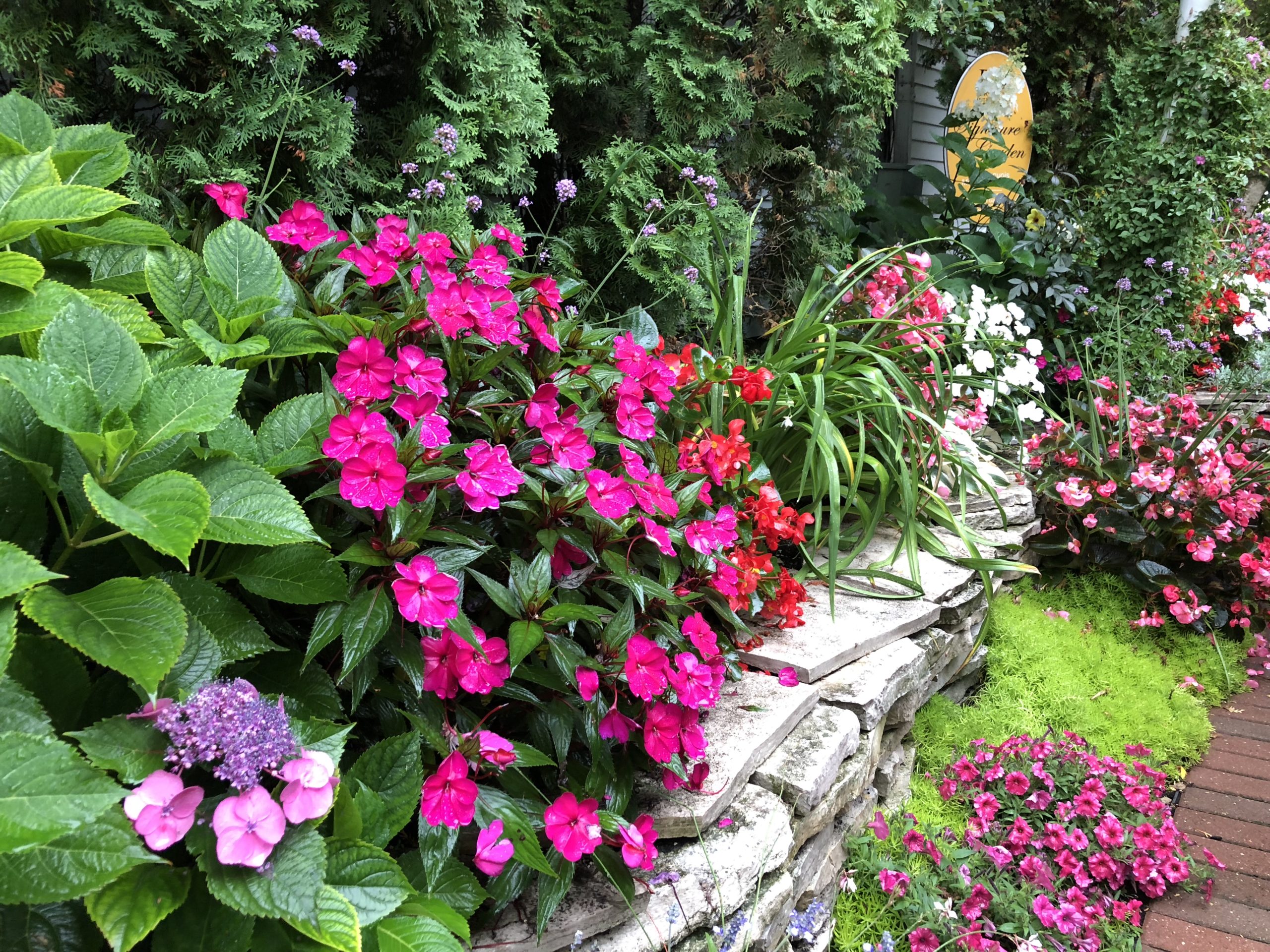 View All Garden Crossings Annuals