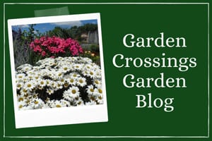 Image link to Garden Crossings Garden Blog page