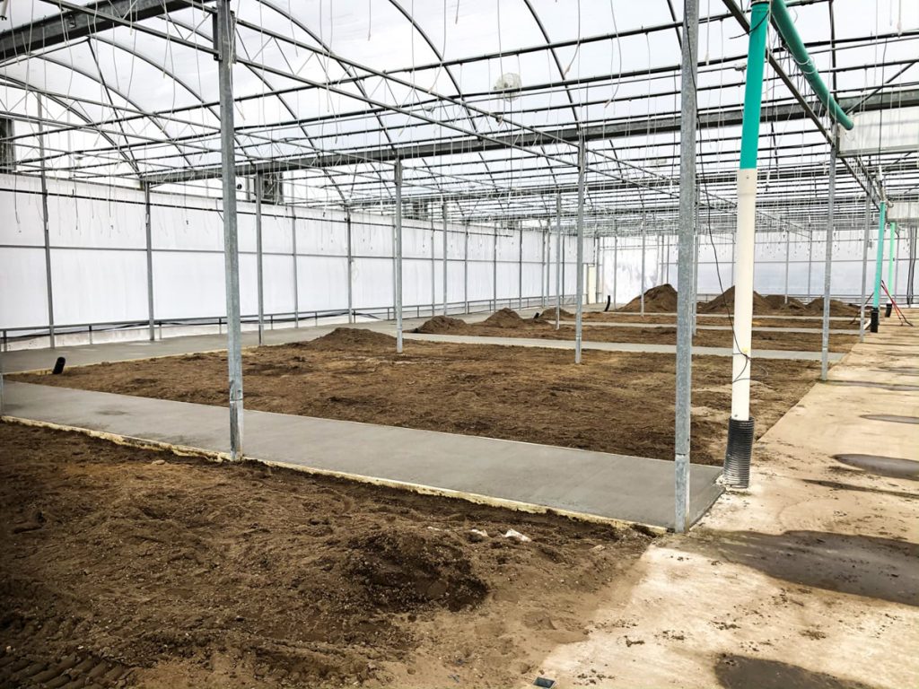 new greenhouse prep for cement