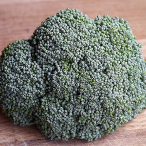 Broccoli