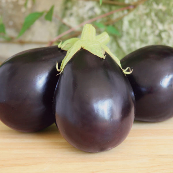 Eggplant Early Midnight Eggplant