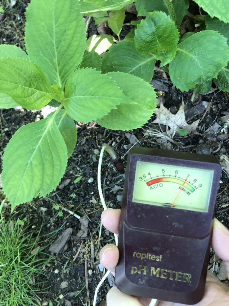 Measuring soil ph