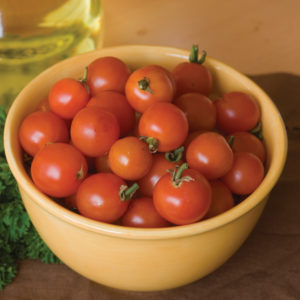 Tomato Sweet 100 Cherry Tomato