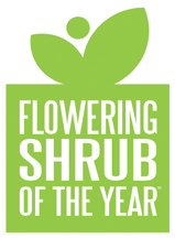 Flowering Shrub of the Year