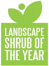 Landscape Shrub of the Year