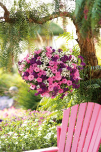 Beautiful hanging basket hanging from tree next to pink outdoor chair
