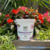 Proven Winners Water Soluble Plant Food