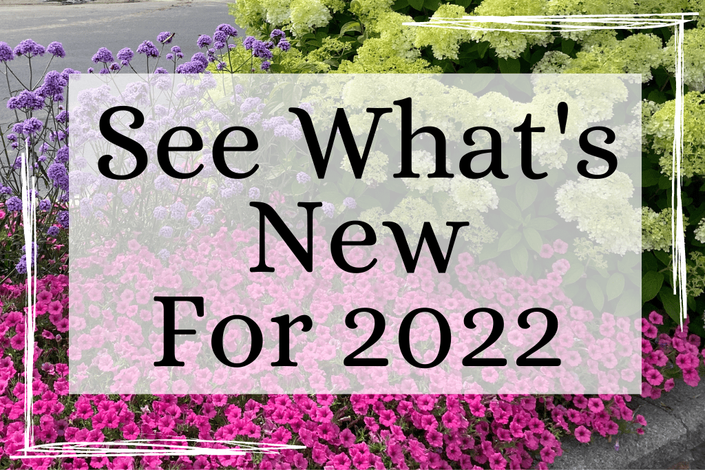 Shade Annuals available from Garden Crossings