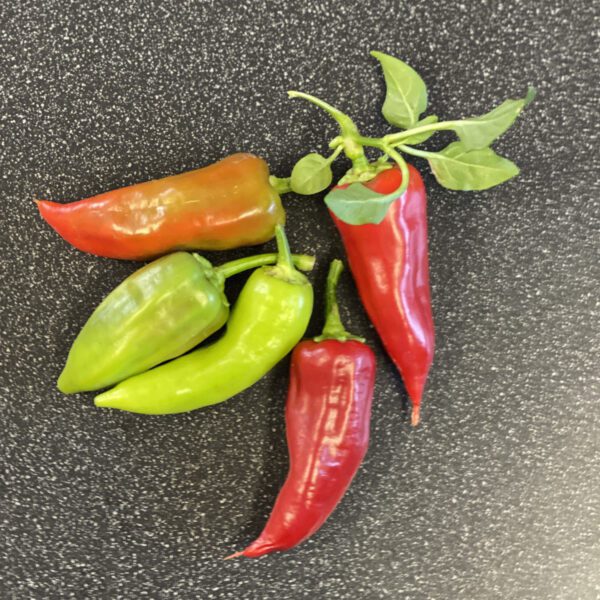 Fire Away™ Hot and Heavy Pepper - Edible