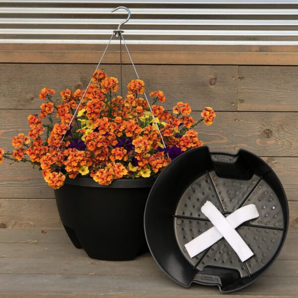 Weekender Self Watering Hanging basket