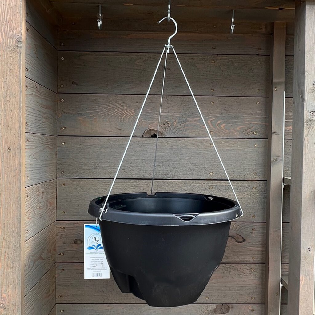 Weekender® Self Watering Hanging Basket Order Online