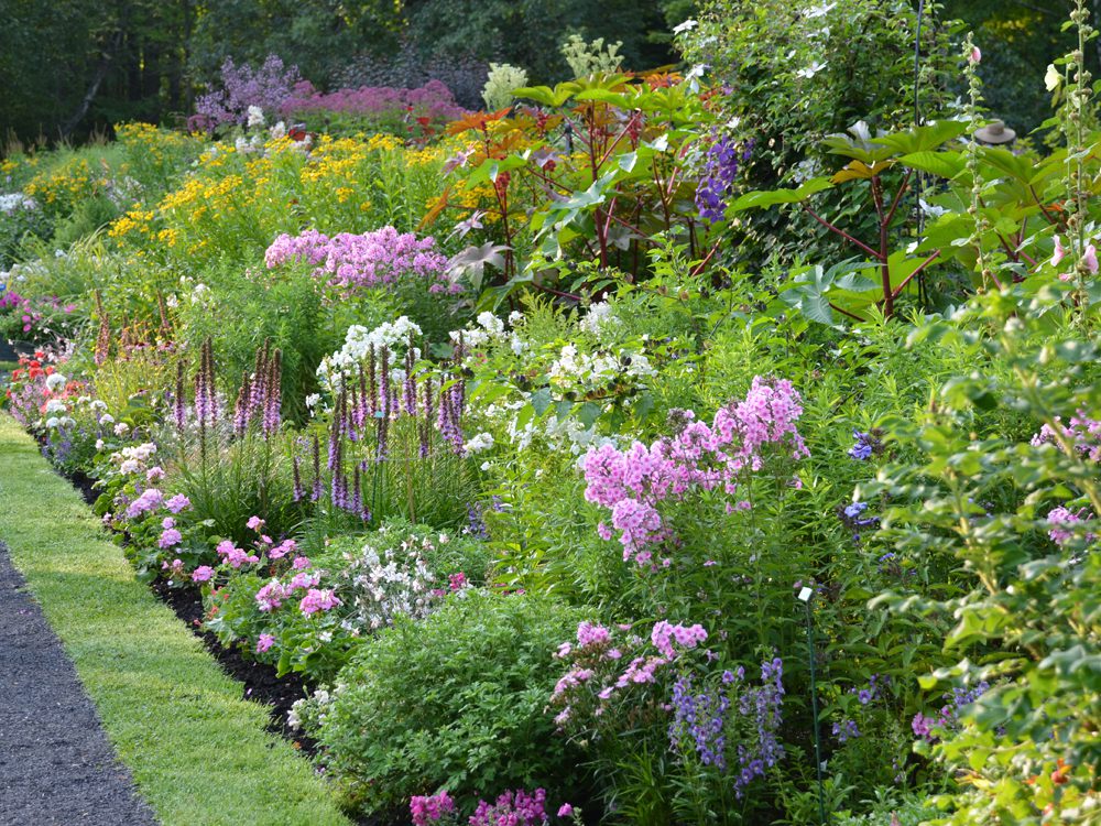 Long Perennial Border Garden