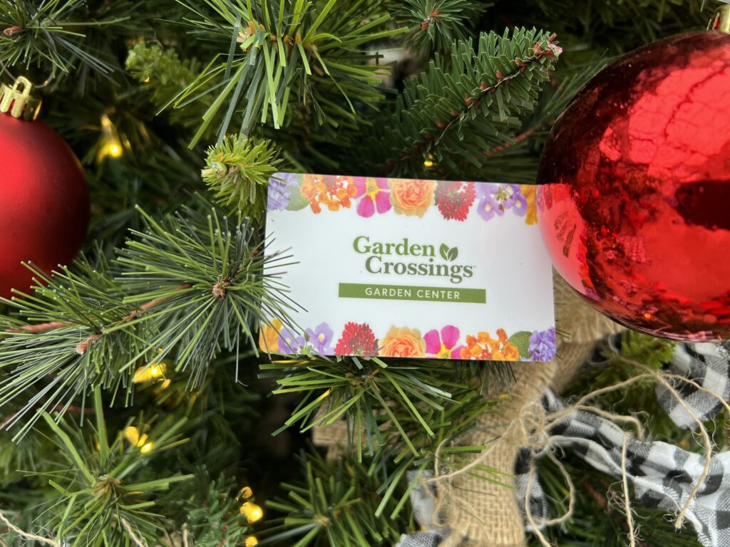 Garden Crossings Gift Card Christmas