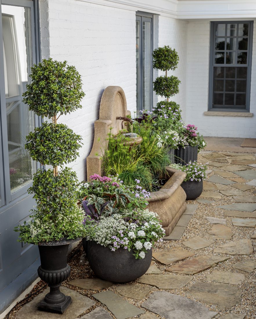 Proven Winners Flower Pillows Best Flower Site