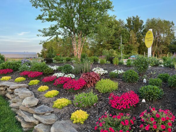 Garden Crossings Proven Winners Signature Garden