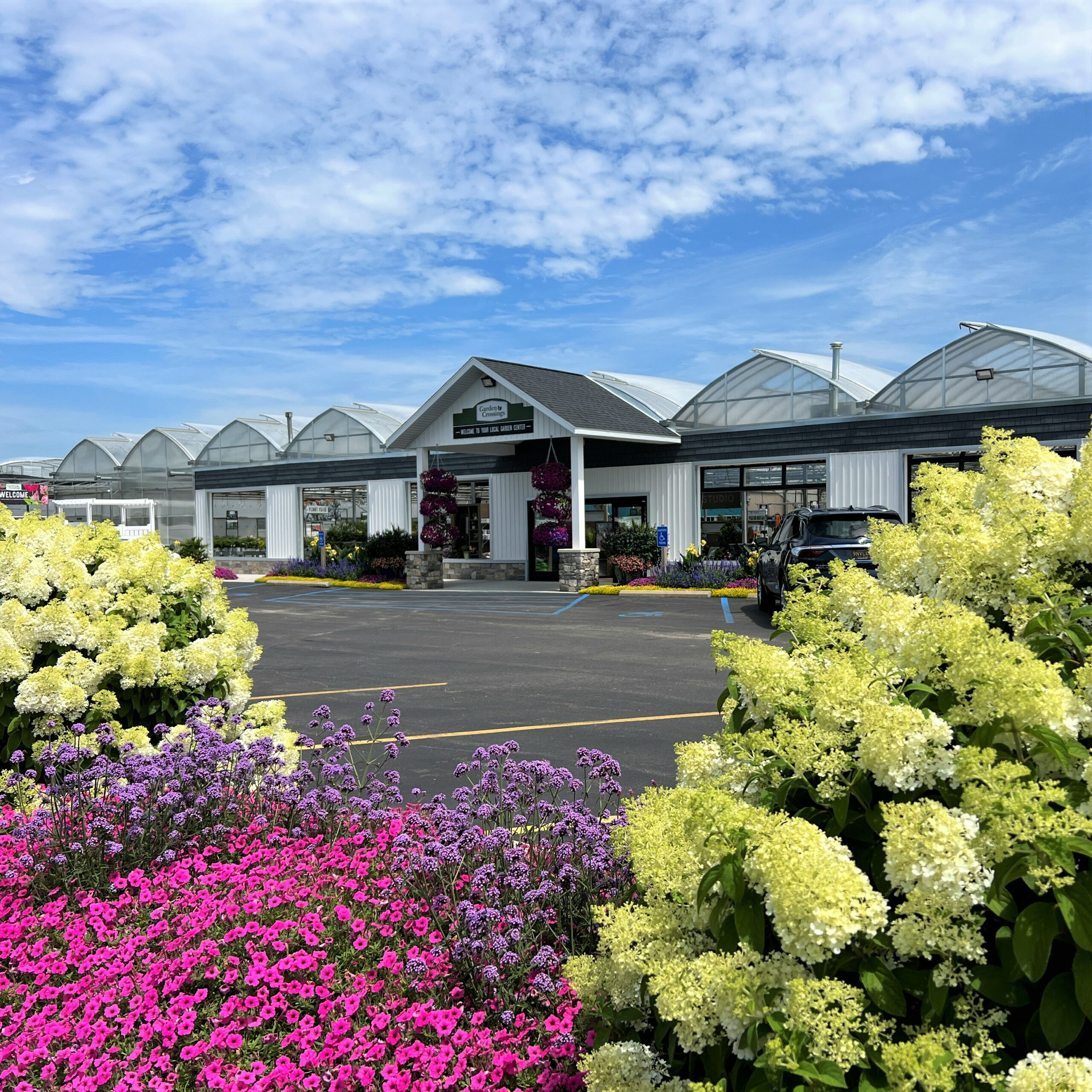 gardenpink① Amazon.com : SJZX Hydroponics Growing System Kit, 12L Large