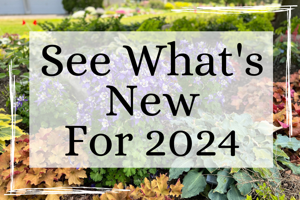 See What's new for 2024