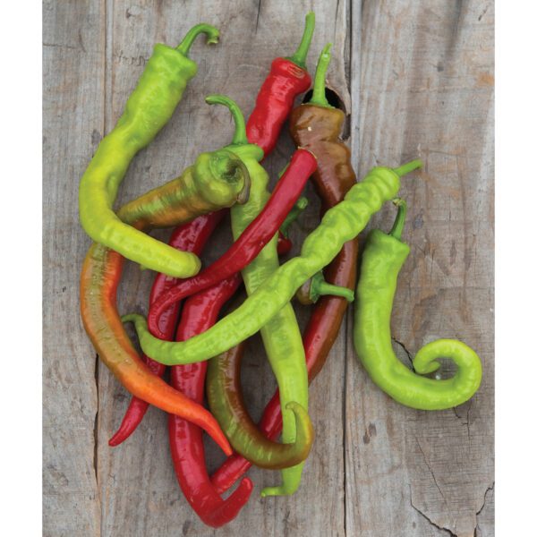 Pepper 'Ristra Cayenne Hybrid' - Pepper - Edibles