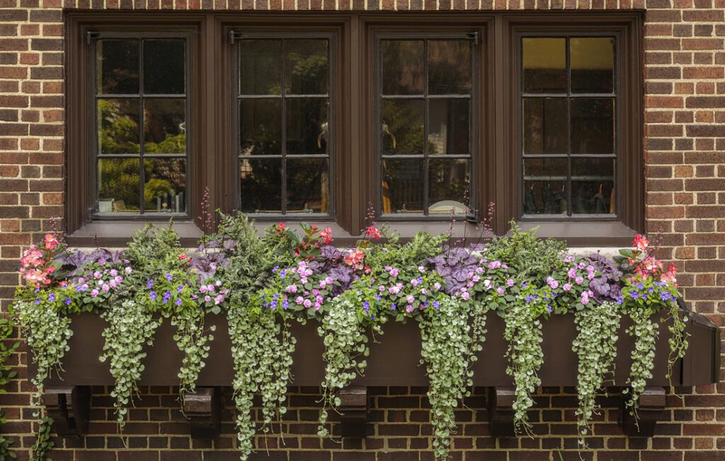 Window Box Garden for Shade