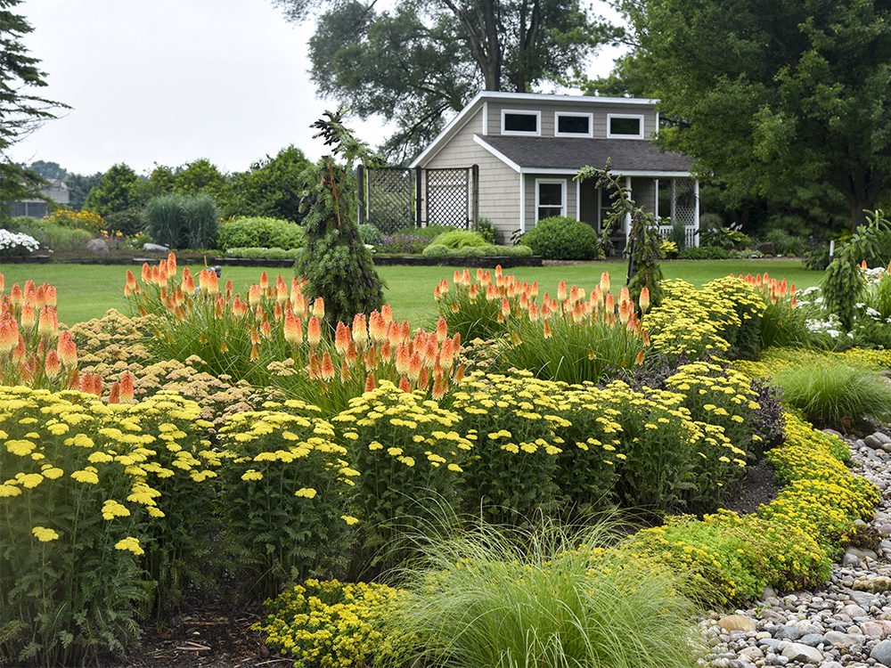 Many drought tolerant perennials like yarrow, red hot poker and sedum enjoy the well-drained properties of sandy soil.