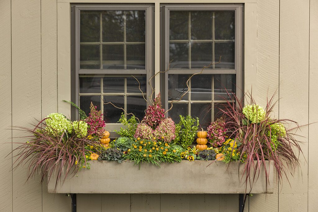 Autumn Windowbox
