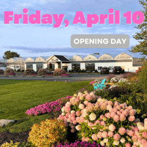 Garden Crossings Opening Day