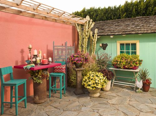 Add lots of color to patio