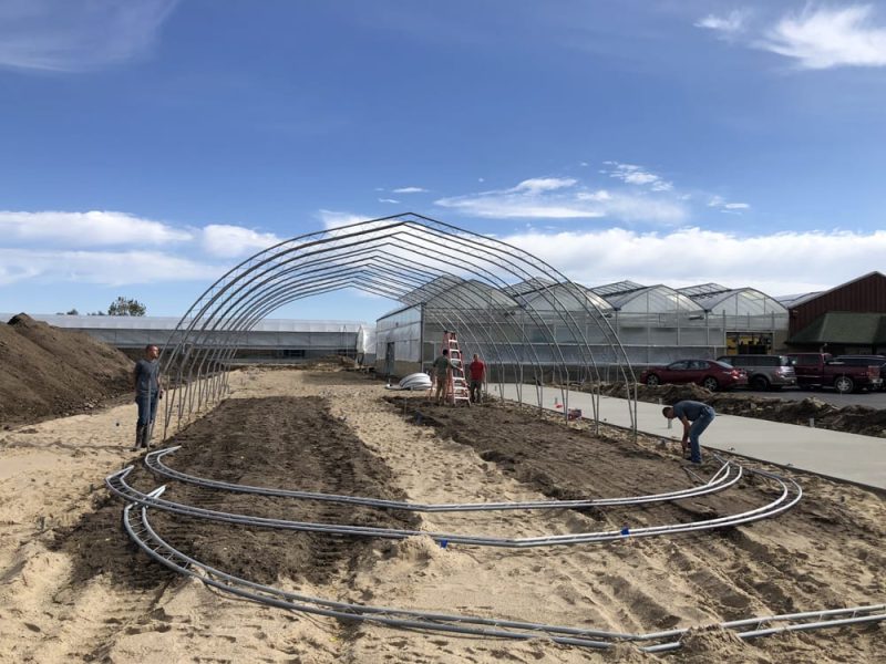 1 Installing Frame for Butterflyhouse