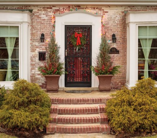 10 Plan ahead for winter-evergreens in pots_Proven Winners 10 Plan ahead for winter-evergreens in pots_Proven Winners