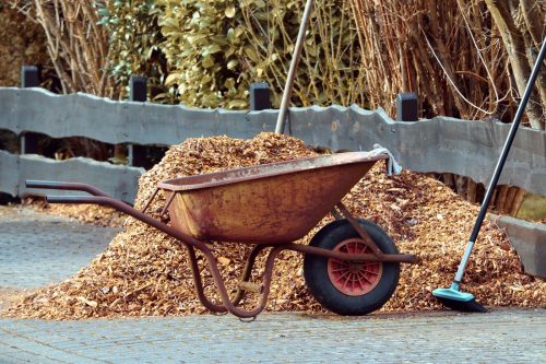 Mulch in wheelbarrow