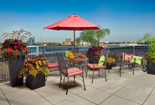 12 Condo balcony garden_Proven Winners Photo Courtesy of Prove Winners