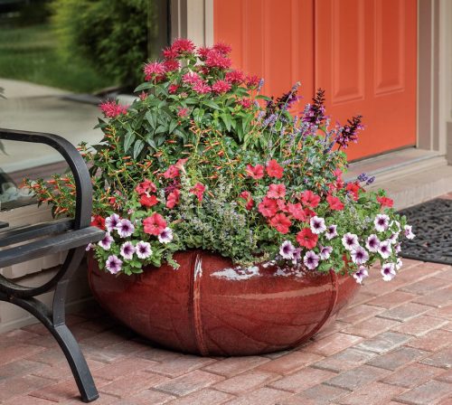 Pollinator Garden Container