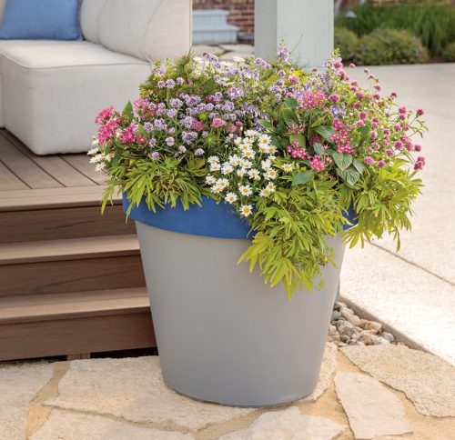 Cutting Garden Container