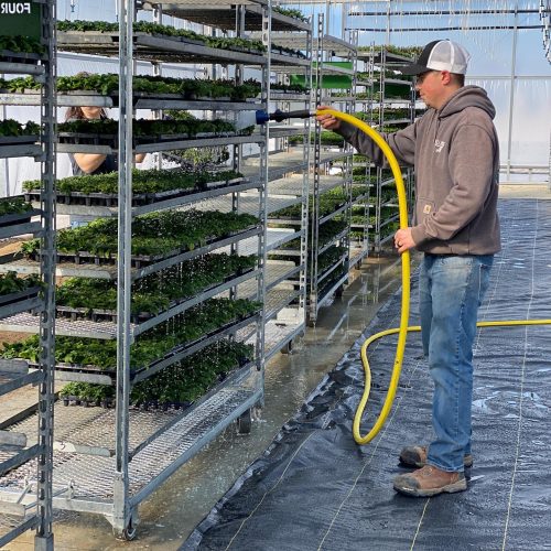 Plant Care Plant Care